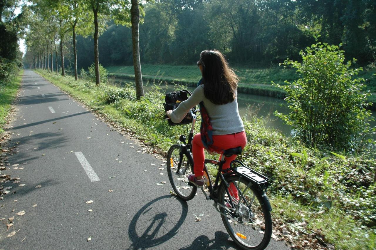 Gite Bord De Marne Paris Bry-sur-Marne Zewnętrze zdjęcie